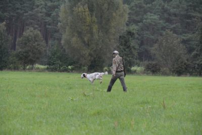 IMG-20241008-WA0010